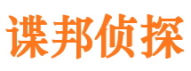 张湾市调查公司